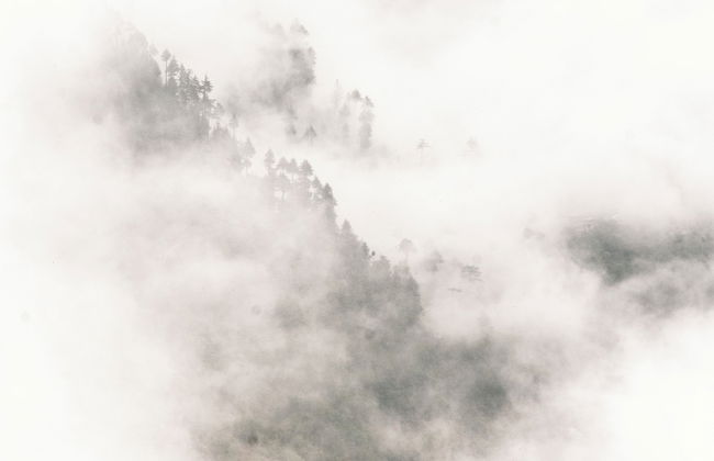 Cove The Glass House - Foto 61