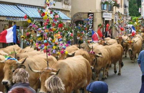La Maison Bleue, village vacances, piscine, parking - Photo 36
