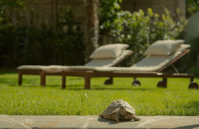 Relais la Corte di Cloris - Photo 51