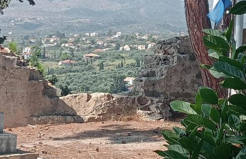 LimonoSpito - Photo 37