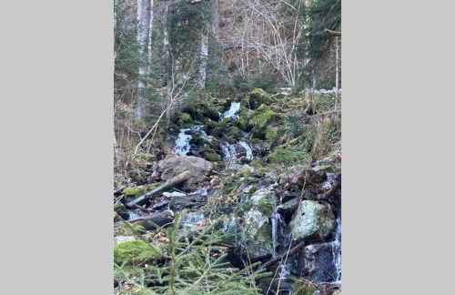 Gemütliche Ferienwohnung in Sankt Blasien - Foto 46