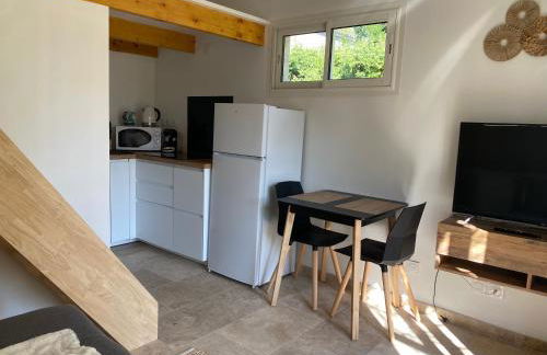 Studio dans les pins - Foto 10