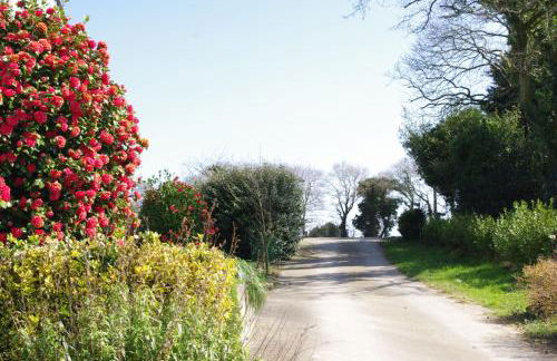 Ti Gwen charming cottage in Douarnenez Bay - Foto 30
