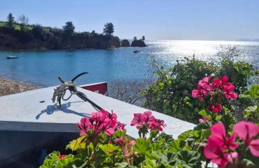 Agnanti Kotsikia - Foto 1