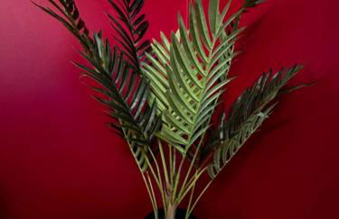 Grammar School Yard Four Bedroom Free Parking - Foto 12