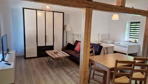 Apartment auf dem Hof einer historischen Mühle - Foto 4