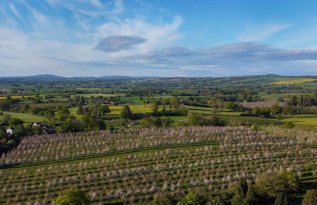 Dragon Orchard Retreat - Photo 39