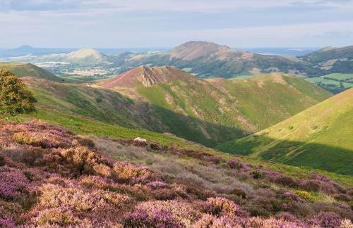 2 Bed in Craven Arms oc-94099 - Foto 26