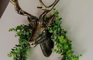 Eifel Cottage Biersdorf am See - Foto 14