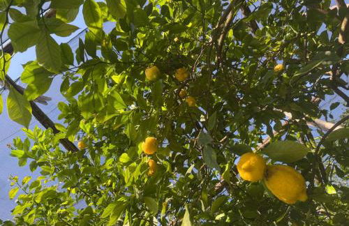 La Casetta di Titti - Foto 37