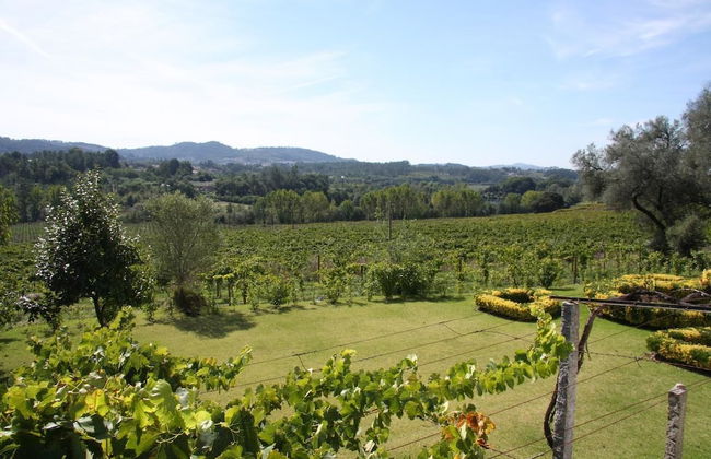 Solar das Bouças - Foto 31