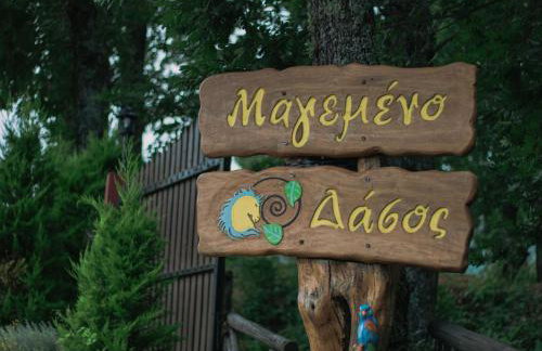 Μαγεμένο Δάσος Apartments - Photo 32