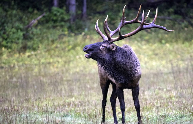 Emerald Cove - Foto 33