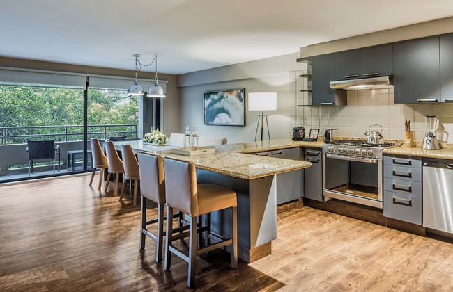 Dominion Polanco - Foto 6