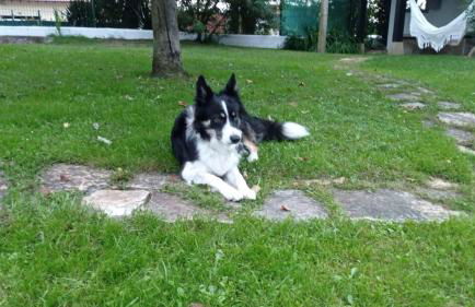 Casa Candelas - Foto 55