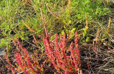 Apartamento Beirada 1 en Porto de Portocubelo con parking - Foto 21