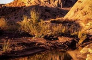 Alojamiento las Dunas alto - Foto 41