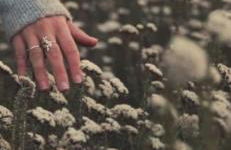 Masiadenjust - Foto 78