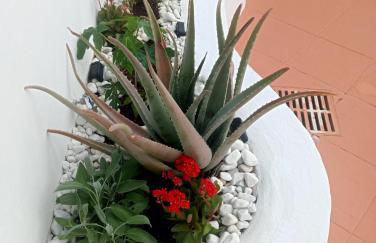 CASA TINA piscina privada - Foto 6