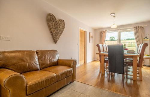 Field View - Foto 14