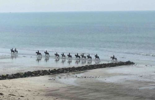 LES ILES VUE SUR MER - Foto 18