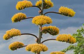 Castel'lodge - Foto 37