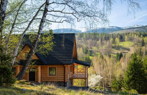 AleBale Przesieka luksusowy dom z bali z widokiem na Karkonosze - Foto 8