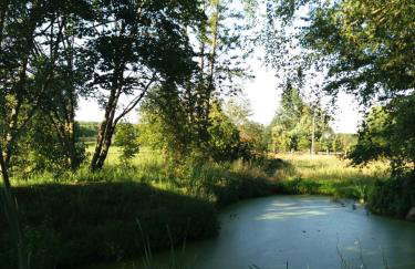 Siedlisko Nasza Chata - Foto 24