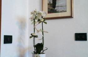 Emi Apartment - Foto 20