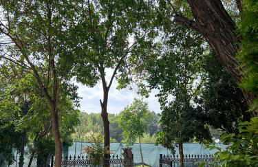 Finca Vitoria - Foto 17