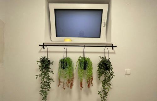 BLANK apartman u centru - Photo 12