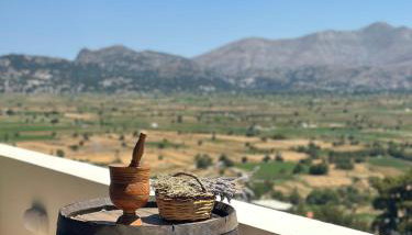 Dictamus Homes - Foto 4