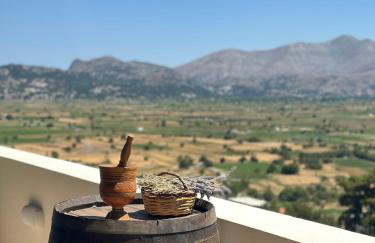 Dictamus Homes - Foto 4