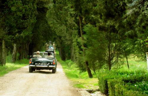 Quinta da Alcaidaria Mor - Foto 35