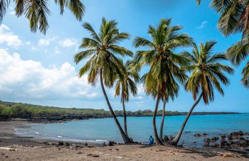 The Pineapple Palace - Foto 65