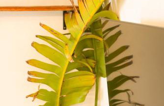 La Paredita Casa Acentejo - Foto 18