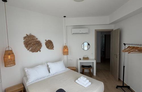 Eolia luxury houses Andros - Photo 6