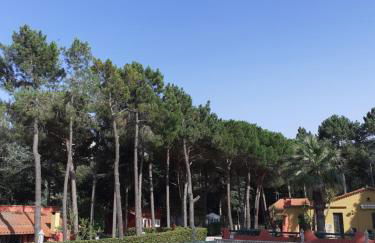 Domaine Des Mimosas - Foto 67