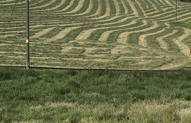 Beautiful 3 Bedroomed Cotswolds Farmhouse - Photo 36