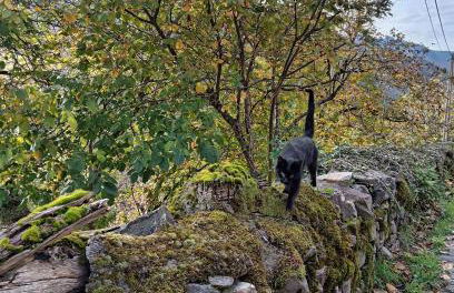 Luna Menguante Casa Luna de La Viliella - Foto 51