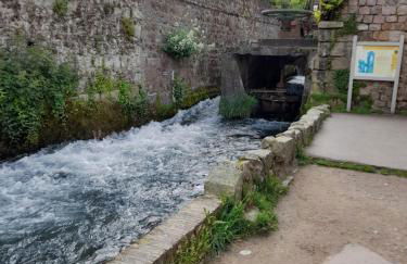 Les roses à la plage - Foto 31