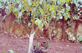 Apartments Elena - Foto 34