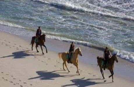 Balade à cheval sur la plage de Bonfil - Photo 5
