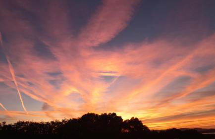 Dependance Pavoncella - Foto 38