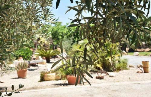 CAN TROBAT - Gran Villa Mallorquina con piscina - Foto 48