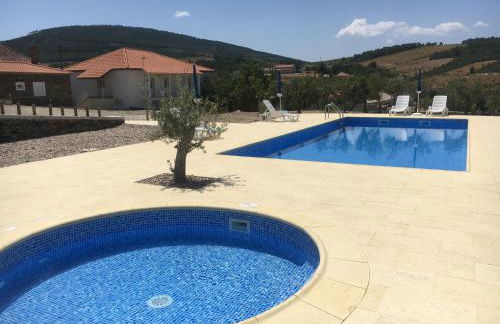 Desafios da Horta - Foto 7