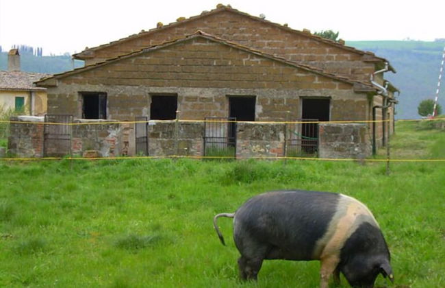 Le Roghete - Foto 29