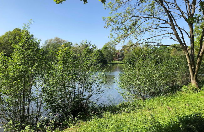 Luxury Central Apartment 4 guests - Foto 32