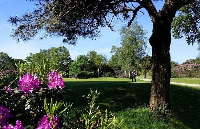 The Dorset Resort - Foto 68