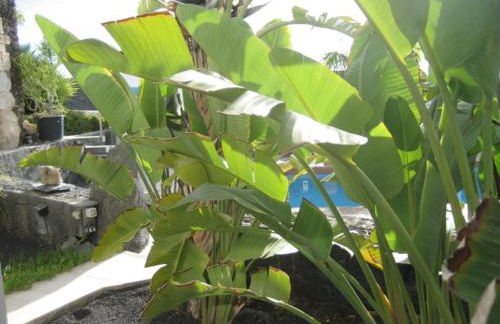 Villa Niki mit beheiztem Gemeinschaftspool für 2 Appartments - Photo 24